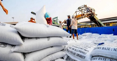 Xuất khẩu gạo Việt Nam 8 tháng 2025 đạt 3 tỷ USD