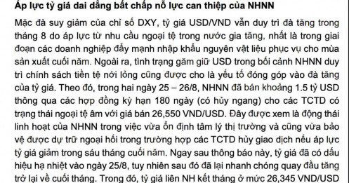 NHNN đã bán can thiệp 1,5 tỷ USD để hạ nhiệt tỷ giá
