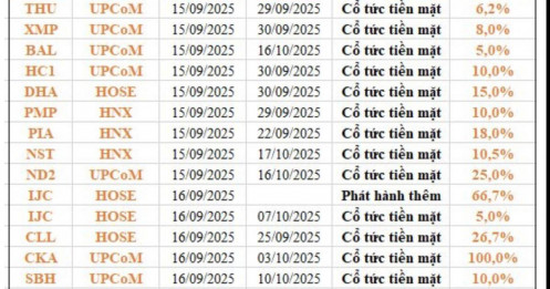 23 DN trả cổ tức bằng tiền mặt, cao nhất 100%