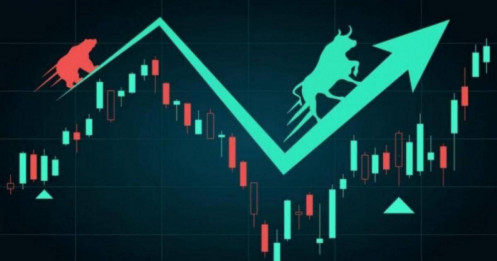 Đường Cong Lợi Suất Chuyển Hình Chữ V: Bẫy Ngọt Cho Nhà Đầu Tư Trái Phiếu?