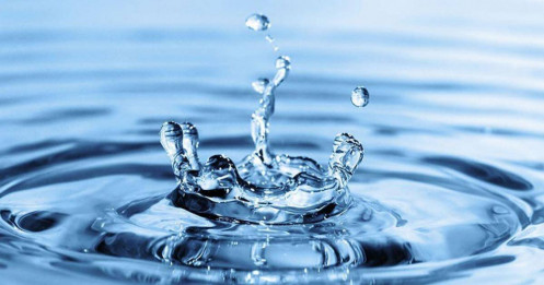 So sánh nhanh tiềm năng tăng trưởng và định giá của 2 công ty hàng đầu thuộc nhóm ngành phòng thủ: BWE và REE