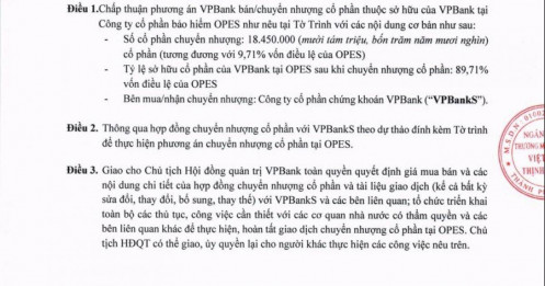VPBank muốn chuyển nhượng gần 10% vốn tại OPES cho VPBankS