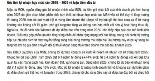 SSI Research dự báo MSN lãi hơn 6.100 tỷ đồng năm 2025