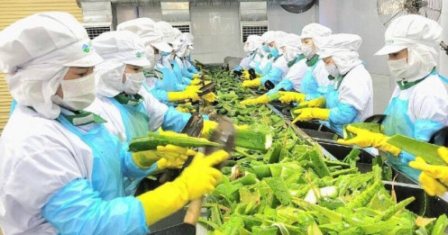 Cú “bắt tay” AIG - GCF