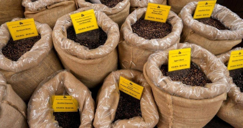 Giá cà phê tại Mỹ tăng mạnh, cơ hội nào cho doanh nghiệp Việt?