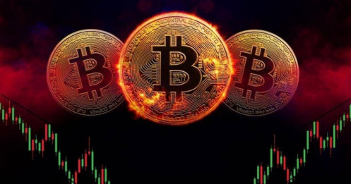 ‘Cá voi’ gom gần 2 tỷ USD Bitcoin qua ETF chỉ trong 5 phiên