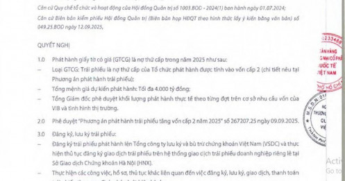 VIB dự kiến chào bán 4.000 tỷ đồng trái phiếu để tăng vốn cấp 2