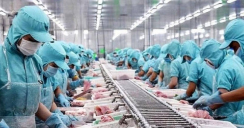 Nam Việt (ANV): Lợi nhuận bùng nổ, định giá chạm đỉnh thì nhà đầu tư nên làm gì?