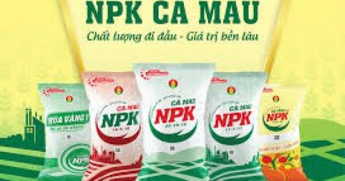 DCM - Đạm Cà Mau: Cơ hội tăng trưởng bứt phá nhờ chu kỳ Ure hồi phục