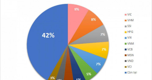 Quỹ ETF 600 triệu đô bắt đầu mua HVN, GEE, STB và FPT