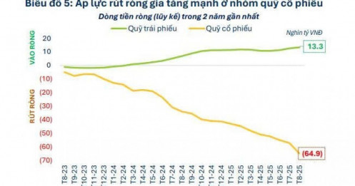 Các quỹ cổ phiếu rút ròng 65.000 tỷ đồng khỏi TTCK Việt Nam
