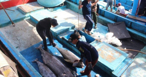 Mỹ sắp dừng nhập nhiều thủy sản Việt Nam, Bộ Công Thương lên tiếng