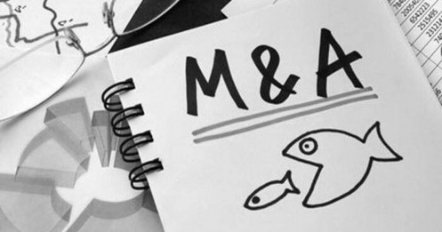 Tháng 8/2025: VinFast, Gelex dẫn đầu loạt thương vụ M&A tỷ USD