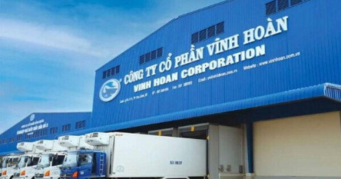 Vĩnh Hoàn (VHC) chi gần 450 tỷ đồng tạm ứng cổ tức, tỷ lệ 20