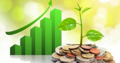 Lịch chốt quyền cổ tức 22/9-26/9: Cổ tức tiền mặt cao nhất 100%, SSI, PNJ chuẩn bị "lăn chốt"