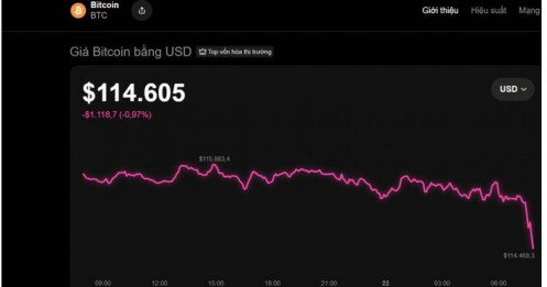 Lộ diện nhiều doanh nghiệp Việt làm sàn giao dịch tiền số