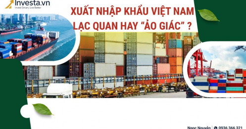 XNK Việt Nam – Lạc quan hay ảo giác? Góc nhìn sâu về khối DN nội địa