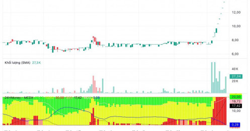 1 cổ phiếu đã tăng trần 10 phiên liên tục trước thềm KQKD quý III/2025, liệu có đột biến xảy ra?