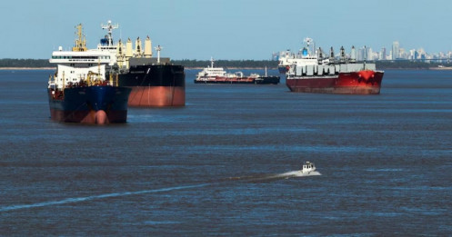 Argentina đình chỉ thuế xuất khẩu nông sản để tăng nguồn ngoại tệ