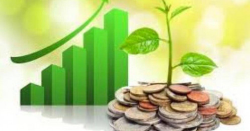 Lịch chốt quyền nhận cổ tức bằng tiền của 5 doanh nghiệp, cao nhất 480%