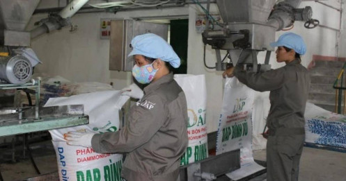 Phân bón kỳ vọng "bứt tốc" lợi nhuận năm 2025