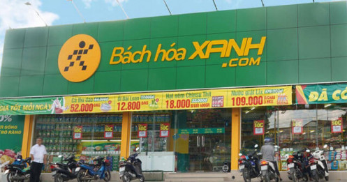 Sau gần một thập kỷ kiên trì, Bách Hóa Xanh đang trở thành một cực tăng trưởng mới của MWG như thế nào?