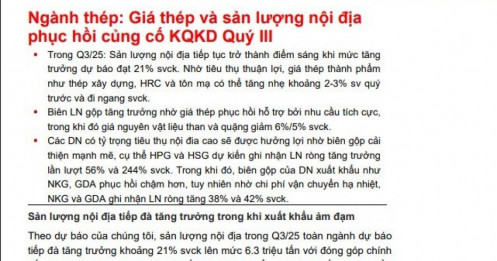 CTCK ước tính KQKD quý 3 ngành thép: Hòa Phát, Nam Kim, Tôn Đông Á tăng trưởng 2 con số, đột biến với Hoa Sen