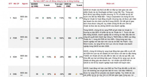 Vinhome có thể lãi 13.000 tỷ đồng, một doanh nghiệp BĐS tăng trưởng hơn 500% trong quý 3