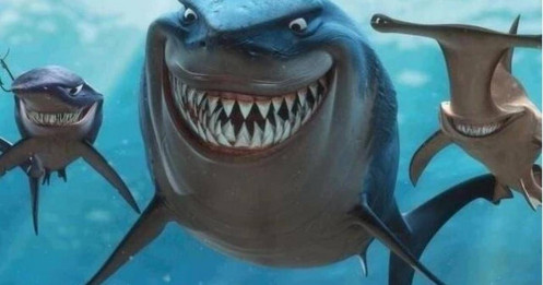 Chiêu thức dòng tiền lớn thoát hàng trước biến động thị trường