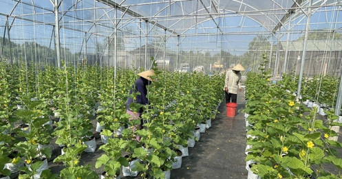 Thêm cơ hội vay vốn ưu đãi ngành nông, lâm, thủy sản