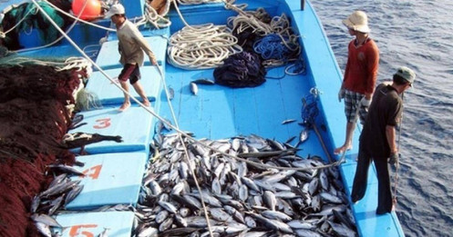 Việt Nam đề nghị Mỹ xem xét lại quyết định về 12 nghề khai thác hải sản