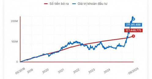 Nếu mỗi ngày mua 1 cổ phiếu VHM, bạn sẽ lỗ hay lãi?