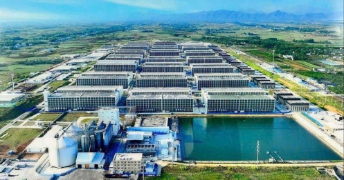 BAF bắt tay đối tác Trung Quốc xây “chung cư nuôi heo” 12.000 tỷ đồng đầu tiên tại Việt Nam, Xuân Thiện và Dabaco cũng nhập cuộc