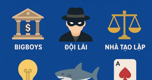 Giải mã Bigboys (phần 3): Bigboys, Đội lái, Nhà tạo lập, Nhà cái, Dòng tiền thông minh, Cá mập, Cá voi – Khác nhau thế nào?