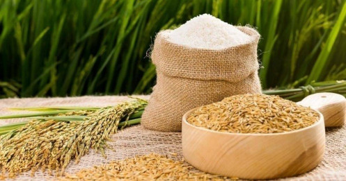 Ngành gạo: Khi nào thoát khỏi "vòng luẩn quẩn" khó khăn?