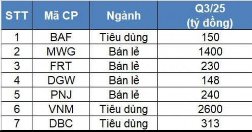 Cổ phiếu bán lẻ hứa hẹn bùng nổ quý III: MWG, FRT, DGW tăng mạnh, “ông lớn” tăng trưởng gần 150%