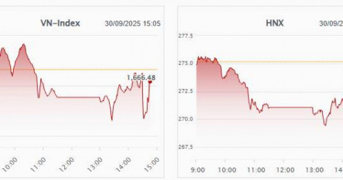Top 3 Siêu Cổ Phiếu Hiếm Đã Rũ Xong Có Khả Năng Tăng Tím