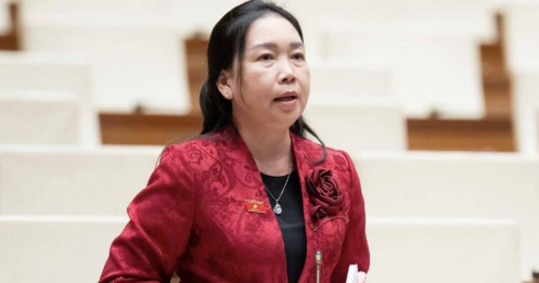 Đề xuất mở rộng bảo hiểm vàng, USD gửi tại ngân hàng