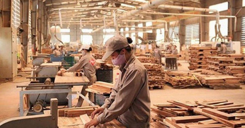 Xuất khẩu gỗ và sản phẩm gỗ tăng trưởng bất chấp thuế đối ứng từ Mỹ