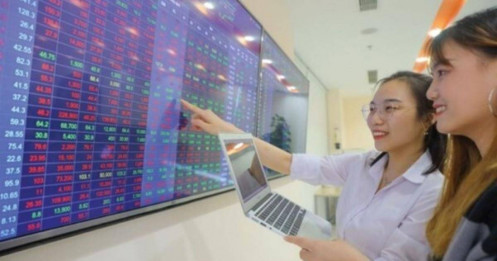 4 “lá chắn” phòng thủ giúp NĐT cá nhân vững vàng trước sóng gió thị trường