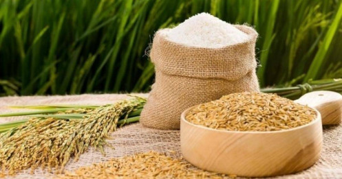 Sóng gió bủa vây cổ phiếu ngành gạo