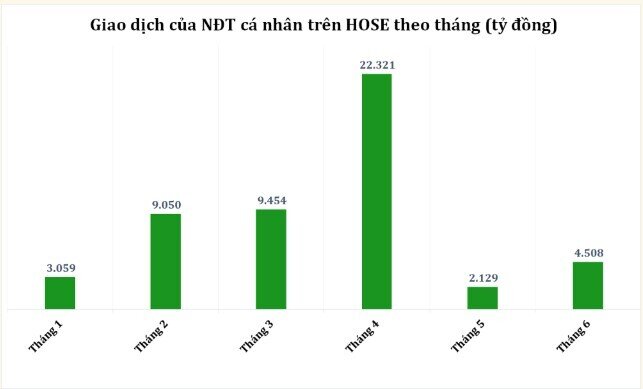NĐT cá nhân mua ròng 4.500 tỷ đồng trong tháng 6, mã nào là tâm điểm?