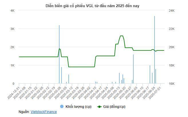 Sai sót kê khai, VGL bị truy thu và phạt thuế hơn 1.6 tỷ