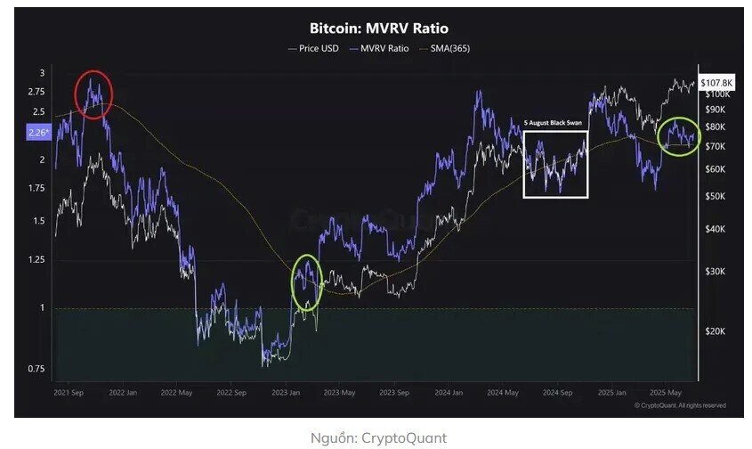 Phe bò Bitcoin có thực sự đang kiểm soát cuộc chơi?