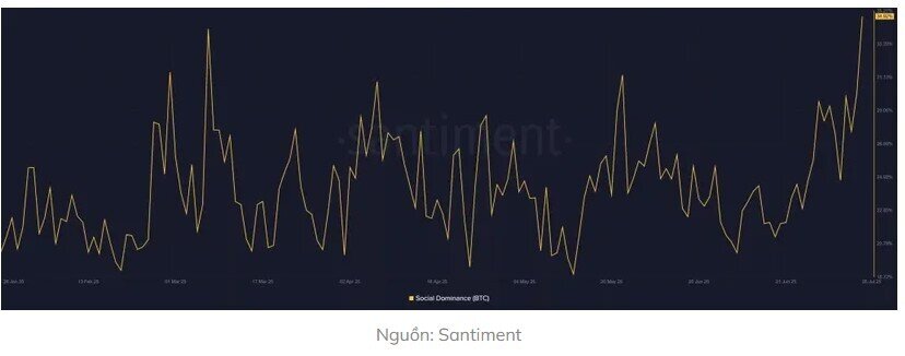 Phe bò Bitcoin có thực sự đang kiểm soát cuộc chơi?