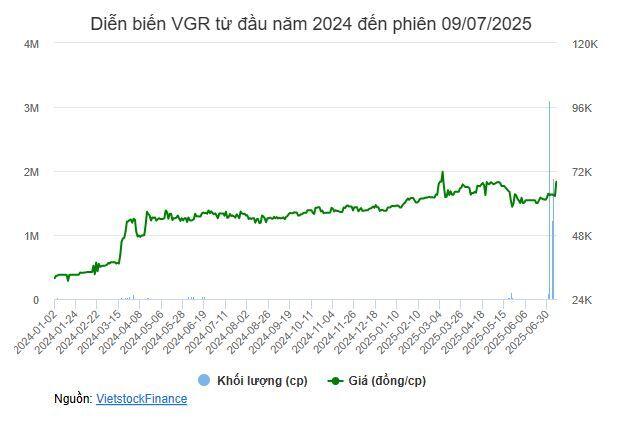 Viconship muốn giảm sở hữu tại Cảng Xanh Vip xuống dưới 55%