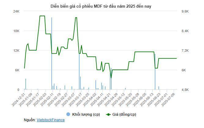 Một công ty gỗ ghi lãi cao hơn cả tiền gửi dân cư toàn quốc vì lỗi đánh máy