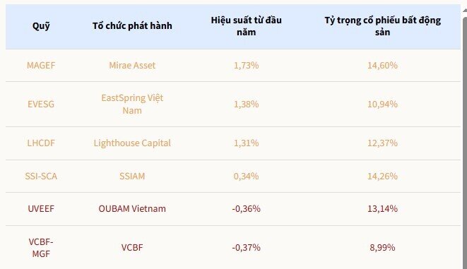 Vì sao nhiều quỹ đầu tư ít chuộng cổ phiếu bất động sản?