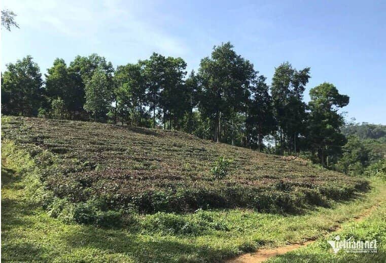 Chuyển đất vườn, ao sang đất ở, Bộ Tài chính nêu hướng giảm mạnh tiền người dân phải nộp