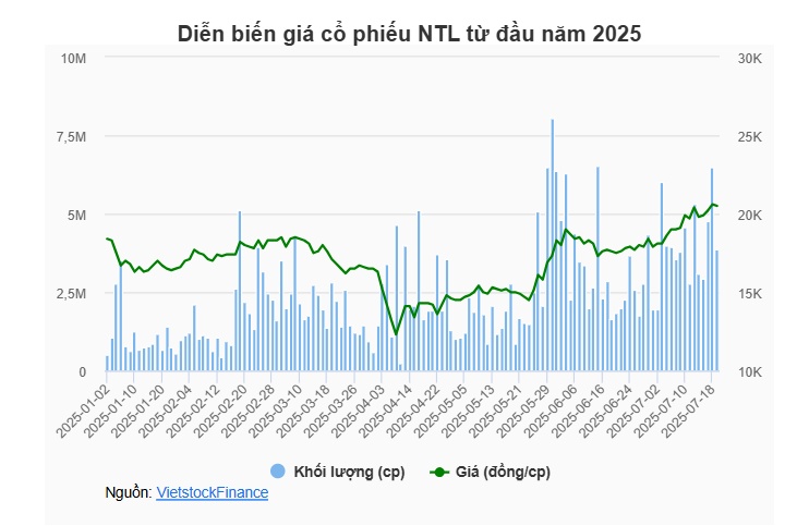 Phó Chủ tịch NTL muốn nâng sở hữu lên gần 15%